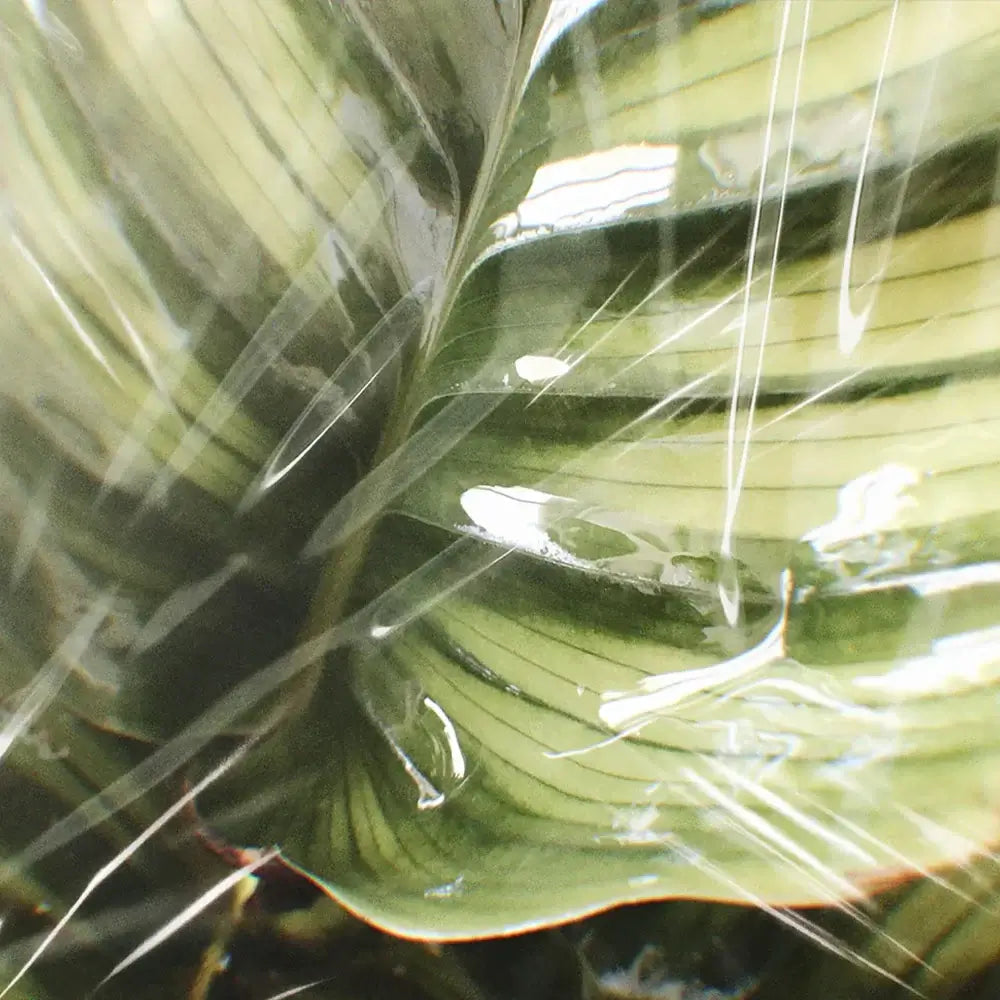 Mikroplastik in der Babypflege