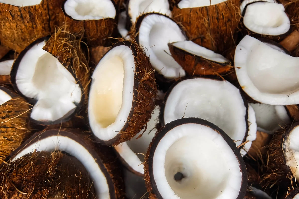 Bio-Kokosöl